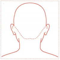 シャチハタ 医療用人体図　「頭（後ろ）」　角型印2020号（20x20mm）病院/医院/整骨院/ゴム印/スタンプ