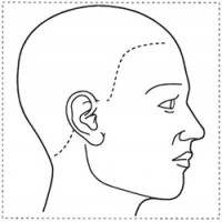 シャチハタ 医療用人体図　「頭（右側）」　角型印4040号（40x40mm）病院/医院/整骨院/ゴム印/スタンプ