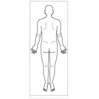 シャチハタ 医療用人体図　「全身（男性背面）」　角型印40100号（40x100mm）病院/医院/整骨院/ゴム印/スタンプ