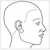 シャチハタ 医療用人体図　「頭（右側）」　角型印2020号（20x20mm）病院/医院/整骨院/ゴム印/スタンプ