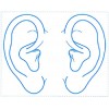 シャチハタ 医療用人体図　「耳」　角型印2030号（20x30mm）病院/医院/整骨院/ゴム印/スタンプ