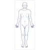 シャチハタ 医療用人体図　「全身（男性正面）」　角型印2060号（20x60mm）病院/医院/整骨院/ゴム印/スタンプ