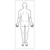 シャチハタ 医療用人体図　「全身（男性背面）」　角型印2060号（20x60mm）病院/医院/整骨院/ゴム印/スタンプ