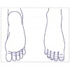 シャチハタ 医療用人体図　「右足」　角型印2030号（20x30mm）病院/医院/整骨院/ゴム印/スタンプ