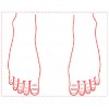 シャチハタ 医療用人体図　「足の甲」　角型印2030号（20x30mm）病院/医院/整骨院/ゴム印/スタンプ