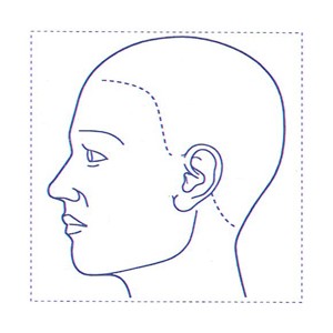 シャチハタ 医療用人体図　「頭（左側）」　角型印4040号（40x40mm）病院/医院/整骨院/ゴム印/スタンプ