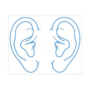 シャチハタ 医療用人体図　「耳」　角型印4050号（40x50mm）病院/医院/整骨院/ゴム印/スタンプ