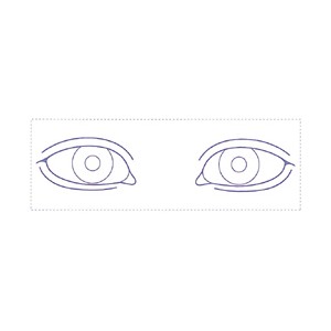 シャチハタ 医療用人体図　「眼-1」　角型印2471号（24x71mm）病院/医院/整骨院/ゴム印/スタンプ