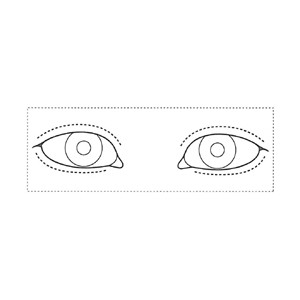 シャチハタ 医療用人体図　「眼-2」　角型印1850号（18x50mm）病院/医院/整骨院/ゴム印/スタンプ