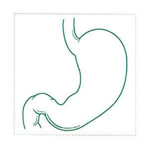 シャチハタ 医療用人体図　「胃」　角型印50号（50x50mm）病院/医院/整骨院/ゴム印/スタンプ