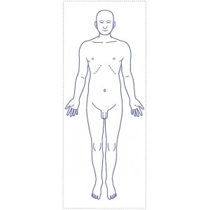 シャチハタ 医療用人体図　「全身（男性正面）」　角型印2060号（20x60mm）病院/医院/整骨院/ゴム印/スタンプ