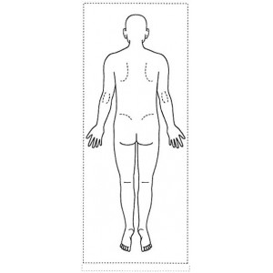 シャチハタ 医療用人体図　「全身（男性背面）」　角型印2060号（20x60mm）病院/医院/整骨院/ゴム印/スタンプ