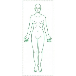 シャチハタ 医療用人体図　「全身（女性正面）」　角型印2060号（20x60mm）病院/医院/整骨院/ゴム印/スタンプ