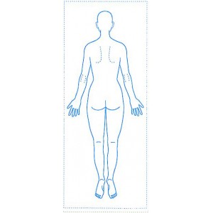 シャチハタ 医療用人体図　「全身（女性背面）」　角型印2060号（20x60mm）病院/医院/整骨院/ゴム印/スタンプ