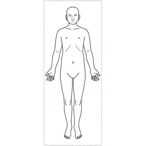 シャチハタ 医療用人体図　「全身（正面）」　角型印2060号（20x60mm）病院/医院/整骨院/ゴム印/スタンプ