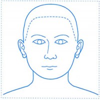 シャチハタ 医療用人体図　「頭（正面）」　角型印2020号（20x20mm）病院/医院/整骨院/ゴム印/スタンプ
