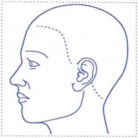 シャチハタ 医療用人体図　「頭（左側）」　角型印4040号（40x40mm）病院/医院/整骨院/ゴム印/スタンプ