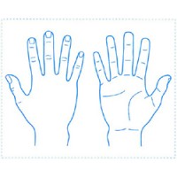 シャチハタ 医療用人体図　「右手」　角型印4050号（40x50mm）病院/医院/整骨院/ゴム印/スタンプ