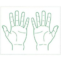 シャチハタ 医療用人体図　「手の平」　角型印2030号（20x30mm）病院/医院/整骨院/ゴム印/スタンプ