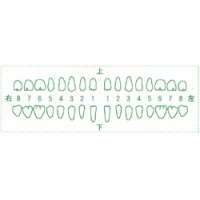 シャチハタ 医療用人体図　「歯-3」　角型印2471号（24x71mm）病院/医院/整骨院/ゴム印/スタンプ