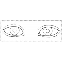 シャチハタ 医療用人体図　「眼-2」　角型印1850号（18x50mm）病院/医院/整骨院/ゴム印/スタンプ