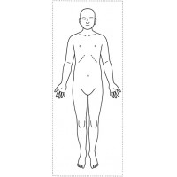 シャチハタ 医療用人体図　「全身（正面）」　角型印2060号（20x60mm）病院/医院/整骨院/ゴム印/スタンプ