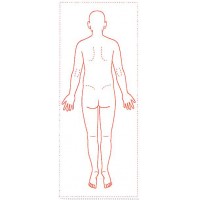 シャチハタ 医療用人体図　「全身（背面）」　角型印2060号（20x60mm）　病院/医院/整骨院/ゴム印/スタンプ