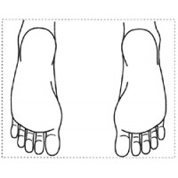 シャチハタ 医療用人体図　「足の裏」　角型印2030号（20x30mm）病院/医院/整骨院/ゴム印/スタンプ
